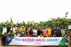 인천농협 ‘농촌일손돕기’ 봉사 