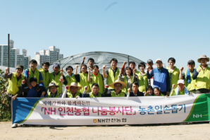 인천농협 ‘농촌일손돕기’ 봉사