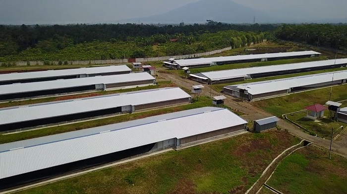 하림그룹 계열사 팜스코가 인수한 인도네시아 종계농장. 하림그룹 제공