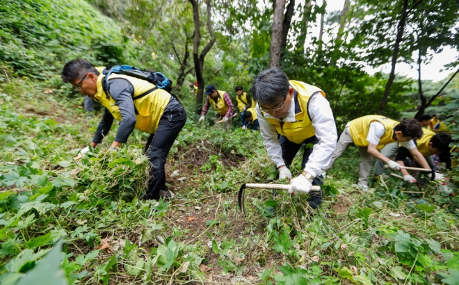 이명한 대림산업 토목사업본부장(가운데)과 대림산업 직원들이 남산 소나무숲에서 유해식물 제거 활동을 펼치고 있다. /사진=대림산업