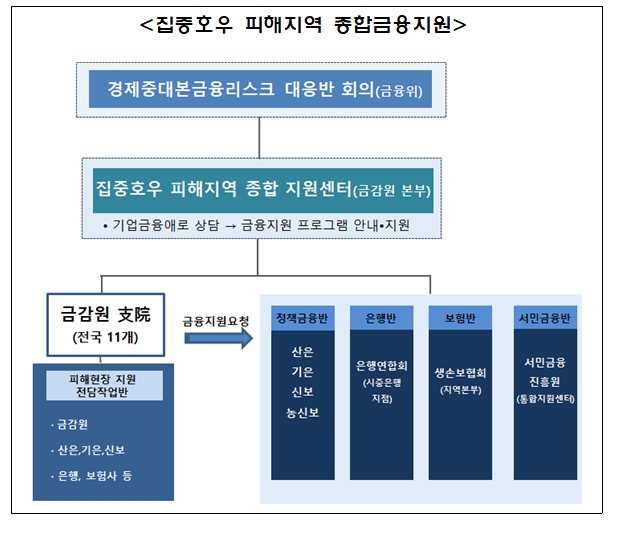 집중호우 피해지역 종합금융지원 체계 / 자료= 금융위원회(2020.08.14)