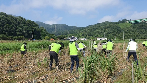 농협중앙회, 집중호우 피해농가 복구지원 일손돕기