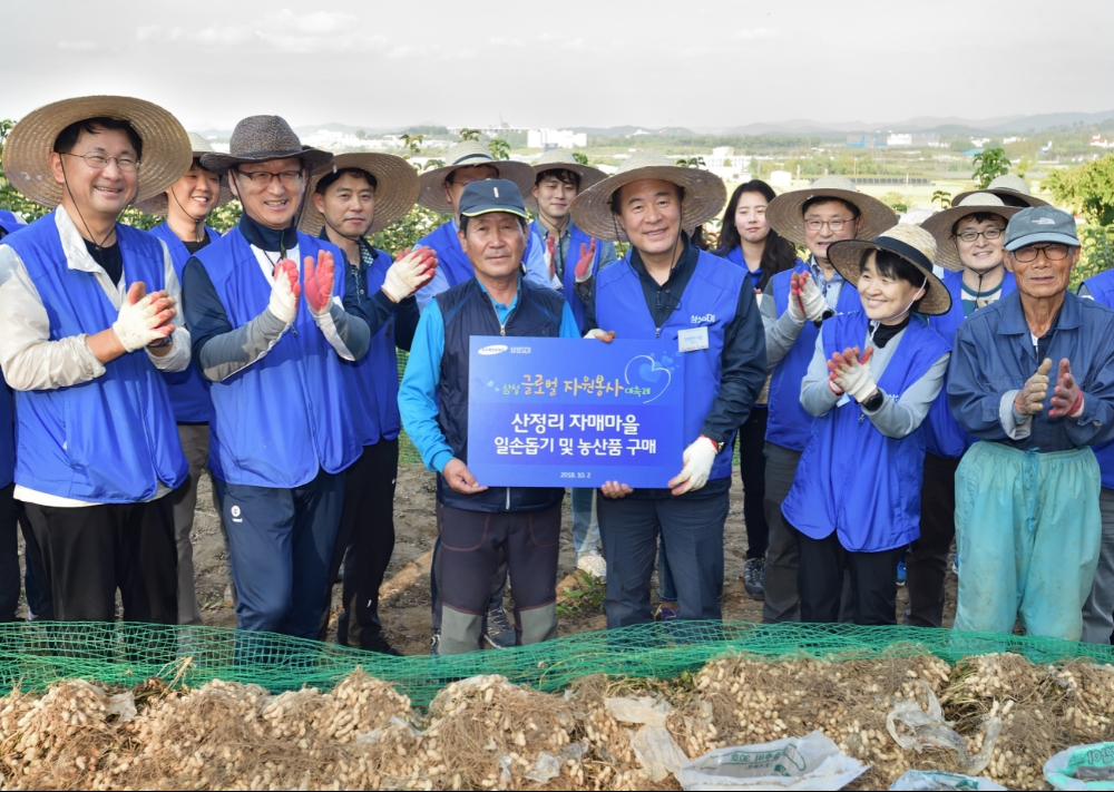 전영현 삼성SDI 사장(좌측 네번째)과 임직원이 지난 2일 충남 천안 산정마을을 찾아 땅콩 수확 일손돕기 활동을 펼쳤다. 출처 : 삼성SDI.