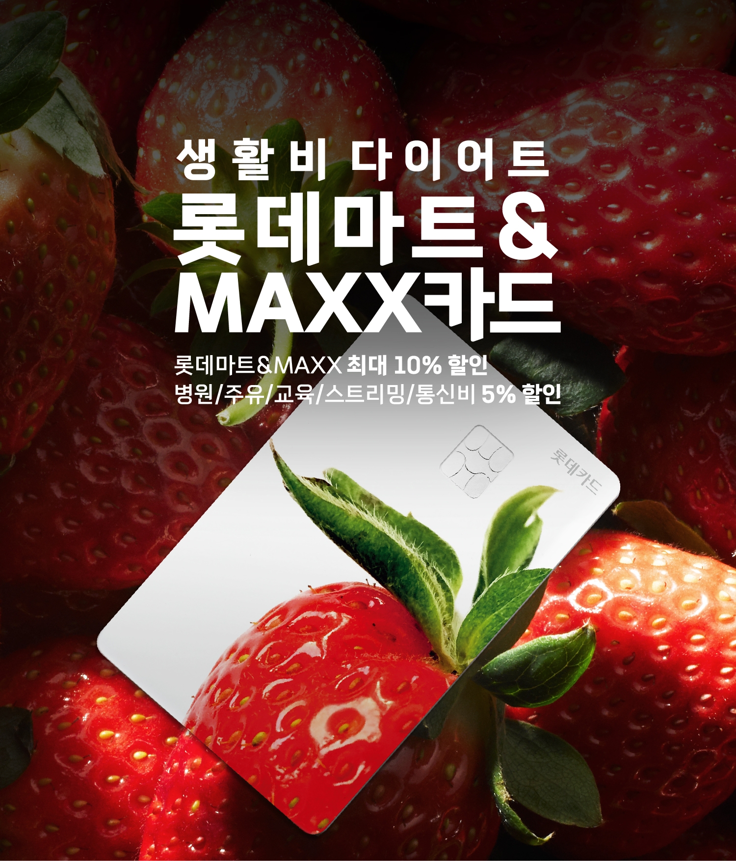 롯데마트&MAXX 카드 홍보 포스터./ 사진제공 = 롯데마트