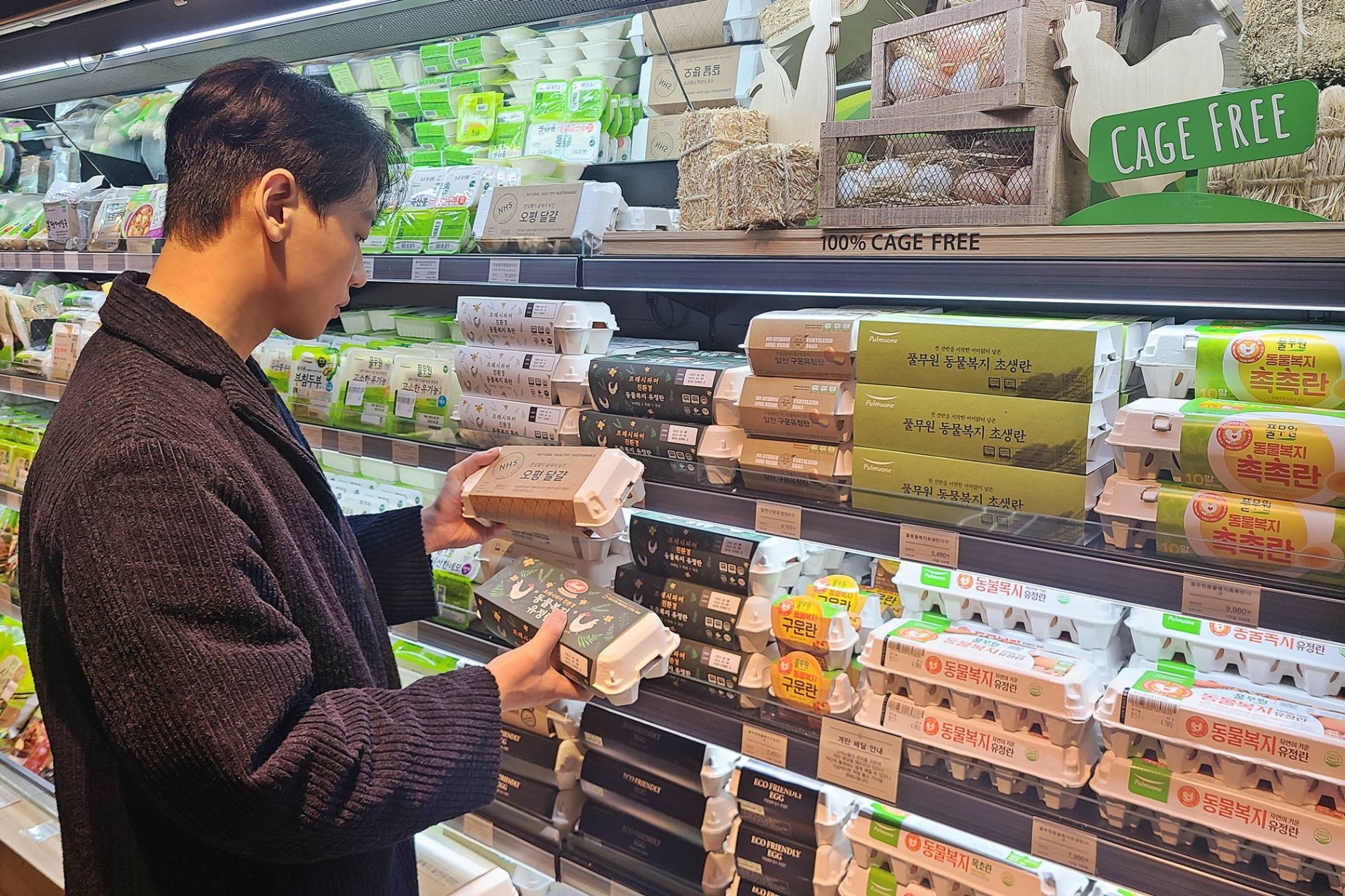 서울 갤러리아명품관 식품관 고메이494에서 한 고객이 케이지 프리 달걀을 살펴보고 있다./ 사진제공 = 한화갤러리아