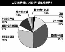 온라인 쇼핑몰 18%만이 매출 증가