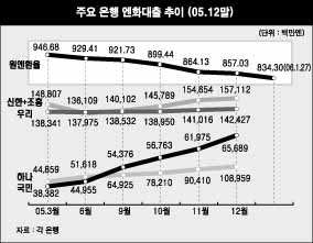 개인사업자 외화대출 우환거리로