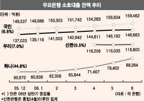 신한銀 소호대출 도전장 파란부르나