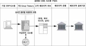 기업 CMS(자금관리서비스) 시장 ‘이젠 글로벌이다’