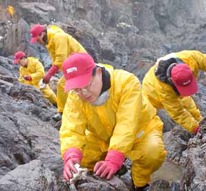 메리츠화재, 태안지역 봉사활동