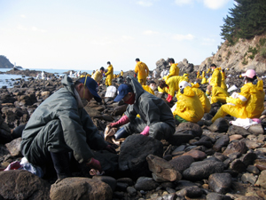 ADT캡스 태안 기름제거에 동참