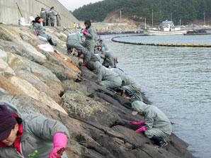 농협웅진군지부 태안 봉사지원