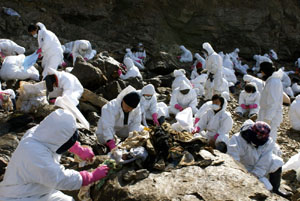 티맥스소프트 태안 봉사활동 진행