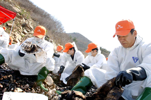 SK C&C, 태안 기름 제거 활동 진행