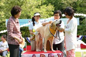 삼성화재, 안내견 가족행사 ‘퍼피데이’ 개최