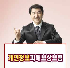 AIG손보, ‘개인정보피해보상보험’ 출시