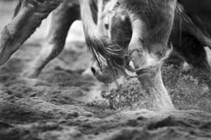 한국저축銀 윤현수 회장, 사진 전시회 개최