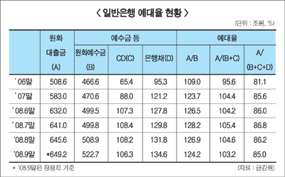 은행권 ‘유동성’에 문제 있나
