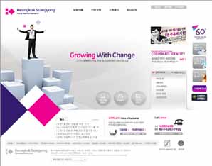 흥국쌍용화재 홈페이지 개편 착수