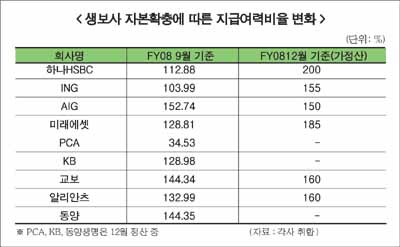 생보사 지급여력 확충 일단락