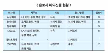 대형손보사 해외진출로 활로개척