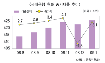 지난달 은행 중기대출 3조원 증가