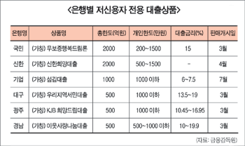 저신용자 대출상품 10등급 제외