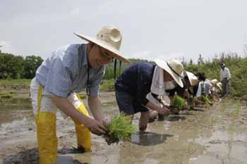 주택금융公, 1사1촌 마을 모내기 봉사