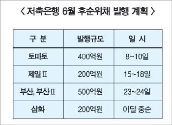 저축銀 후순위채 발행 ‘러시’