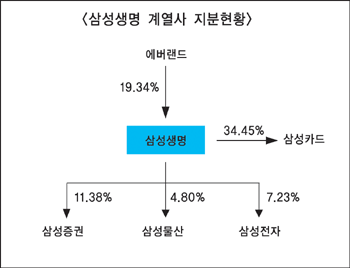 보험권 지주사 전환 “갈길 멀다”