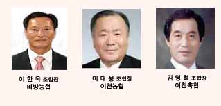 농협 조합장 선출