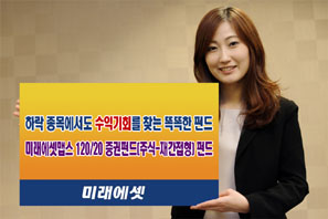 미래에셋맵스 120/20 증권펀드(주식-재간접형) 펀드