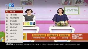 IPTV에 보험전문포털서비스채널 오픈돼