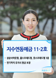 농협 ‘지수연동예금 11-2호’ 출시