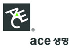 ACE생명, 밑 빠진 독에 물붓기 언제까지…