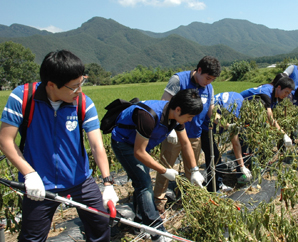 삼성생명, 수해복구에 인력·물품 지원발표