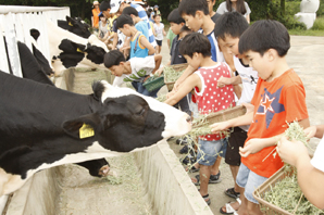 대한생명, 한화봉사단 수도권지역 연합봉사활동
