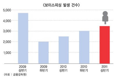 카드사, 보이스피싱 피해 구제책 가시화