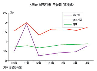 은행들 부실정리 부담 수 조원 멍에