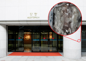 경남은행, ‘우담바라’ 만개 화제