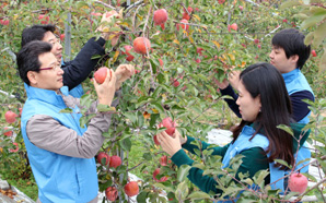 우리금융그룹, 농번기 농촌 일손 돕기