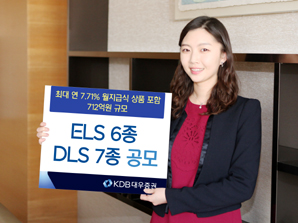 KDB대우證 ELS 6종 DLS 7종 공모
