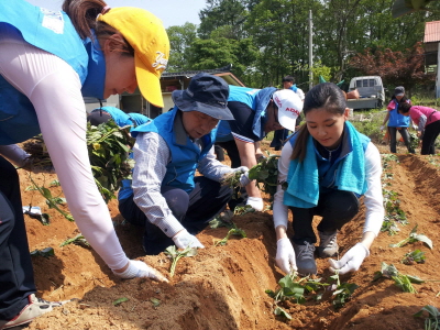 IBK캐피탈, 농촌 봉사활동