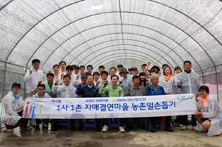 농협손보, 영농철 농촌 일손돕기 실시