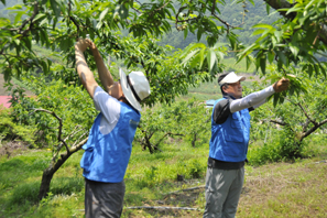 우리아비바생명, 충주 탄동마을 농촌봉사활동 실시