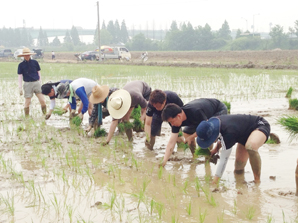 계양농협 ‘농촌일손돕기’