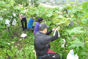 중구농협, 무의도서 봉사활동 전개