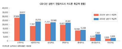 정부 규제정책에도 카드론 늘었다 ‘왜’