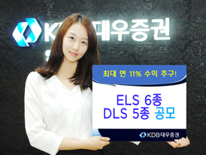 KDB대우證 ELS 6종 DLS 5종 공모