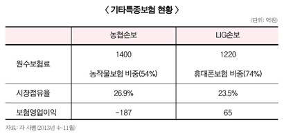 특종보험서 엇갈린 농협손보와 LIG손보